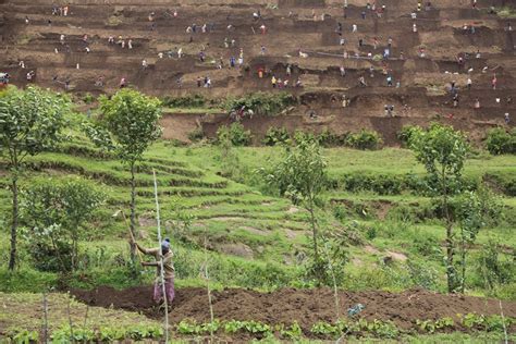 Reducing Vulnerability to Climate Change in North West Rwanda through Community Based Adaptation ...