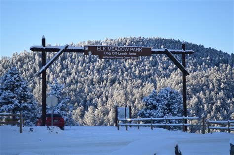 Elk Meadow Park, Evergreen, Colorado. | Evergreen, Colorado, Meadow