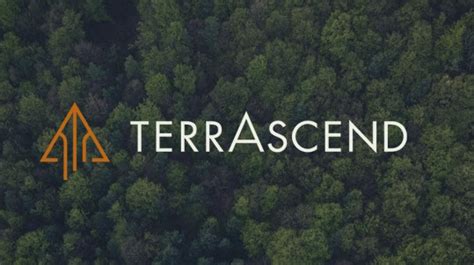 TerrAscend gets price target raise at ATB Capital - Cantech Letter