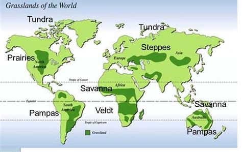 On a blank(white coloured) outline map of world, locate the following ...