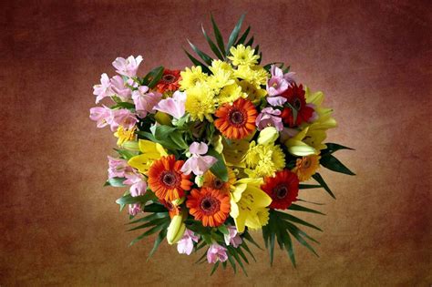 What flowers to send to your Bulgarian friend and girlfriend