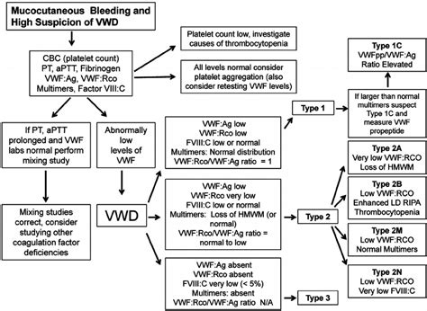 Simplified algorithm for the evaluation of the patient with... | Download Scientific Diagram