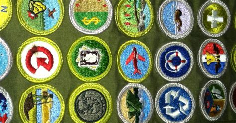 Merit Badges | BSA Scouts | Troop 699 | Scouting USA