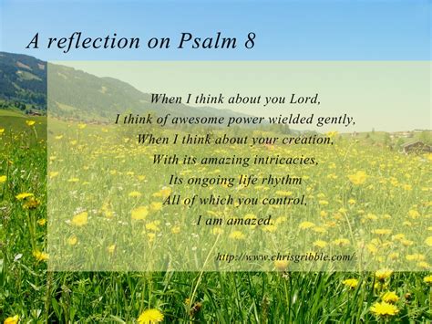 A reflection on Psalm 8