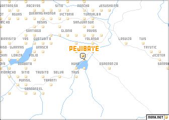 Pejibaye (Costa Rica) map - nona.net