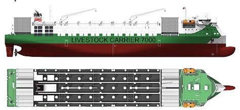 MOOOO!!! Groot Lands Livestock Ship Design Order – gCaptain