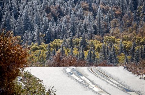 Cypress Hills First Snowfall 5188242 Stock Photo at Vecteezy