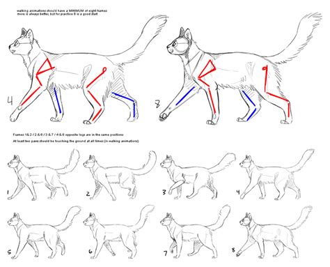 How to Cat: Walk Cycle by SowoD | Walking animation, Cat anatomy, Animation walk cycle