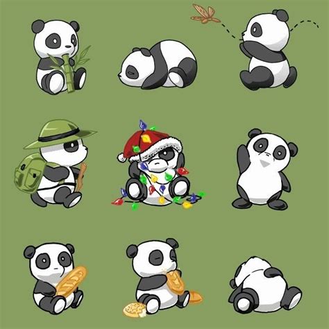 Lights Camera Panda Bear by KawaiiPandahBare on DeviantArt