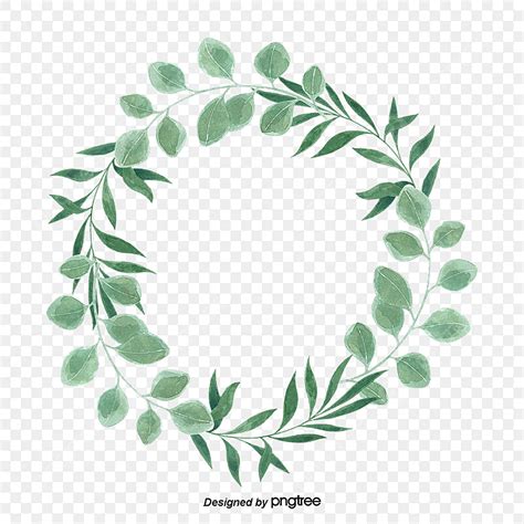 Eucalyptus Leaves Clipart