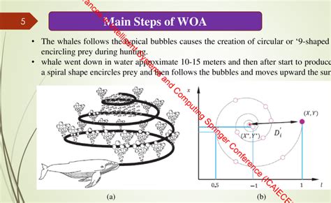 (a) Bubble-net feeding behavior of humpback whales. (b) Spiral updating... | Download Scientific ...