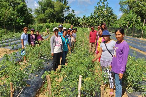 Farmers in Iloilo establish vegetable demo farms for learning and income generation - CARE ...