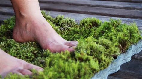 31 DIY Homemade Moss Bath Mat Ideas