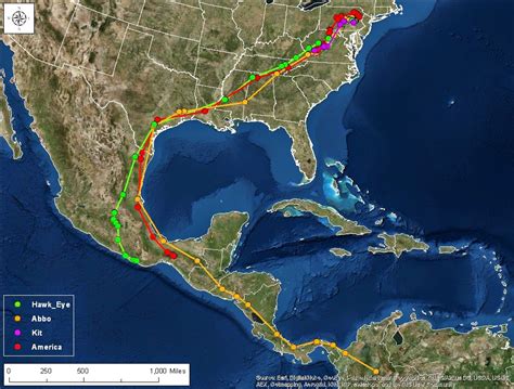 The Broad-winged Hawk Project: A Trip to Veracruz, Mexico