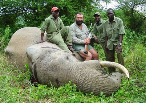 [Name and Shame] These African countries allow the killing of animals ...