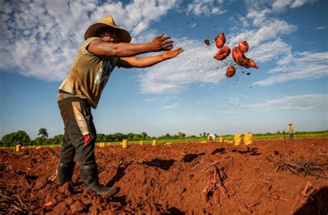 Cuba's Food, Energy Shortage Worsens As Economy Deteriorates