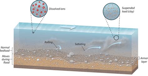 4: Illustration of the different sediment transport processes in river ...