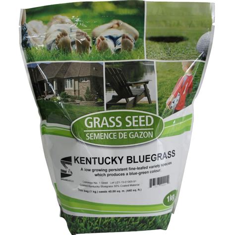 1kg Kentucky Bluegrass Grass Seed | Walmart Canada