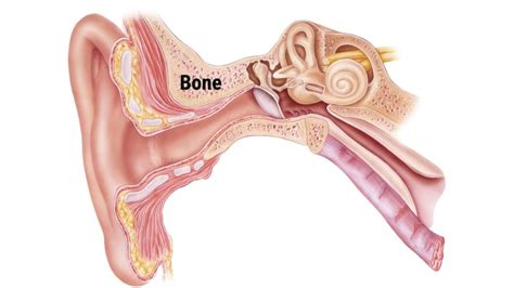 A Guide To Surfer’s Ear And How To Prevent It - Surf Indonesia