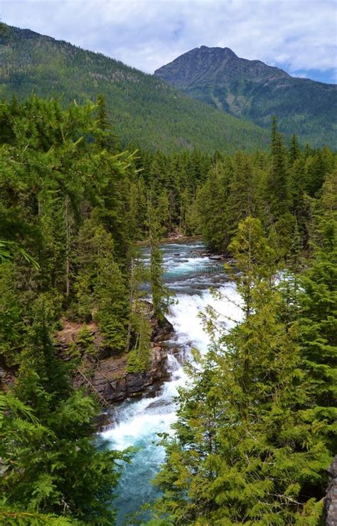 RAGING RIVER and WATERFALL, GLACIER NATIONAL PARK Stock Photo - Image of splashing, current ...