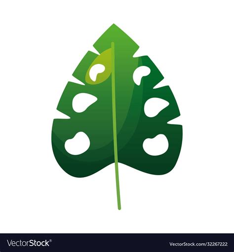 Isolated green leaf design Royalty Free Vector Image