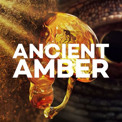 Ancient Amber | Mini Museum