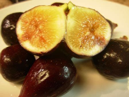 LSU Purple figs from Petals from the Past – The Messy Epicure