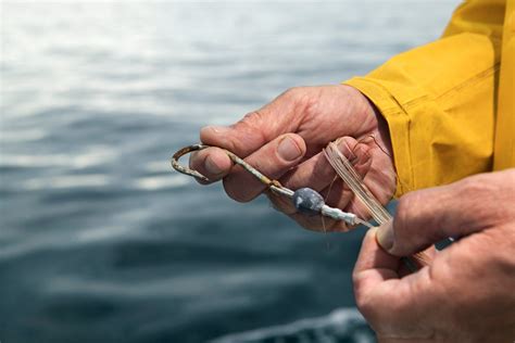 Responsible Fish Handling & Safe Release | Save The Great South Bay