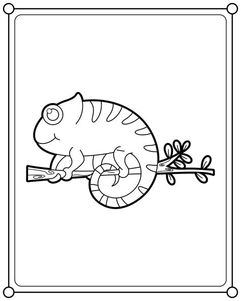 Chameleon lizard suitable for children's coloring page vector ...