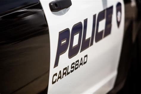 Dog Captured in Carlsbad After Biting Bicyclist: Police | Carlsbad, CA Patch