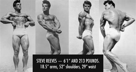 Steeve Reeves Old School Bodybuilding Workout — Lee Hayward's Total Fitness Bodybuilding Tips