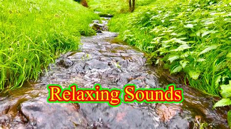 Mountain River, Soothing River Sounds, Relaxing Nature Sounds - YouTube