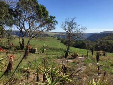 Oribi Gorge Nature Reserve - VISIT KZN SOUTH COAST