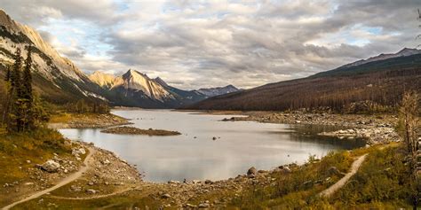 Wildlife um den Maligne Lake | nightside