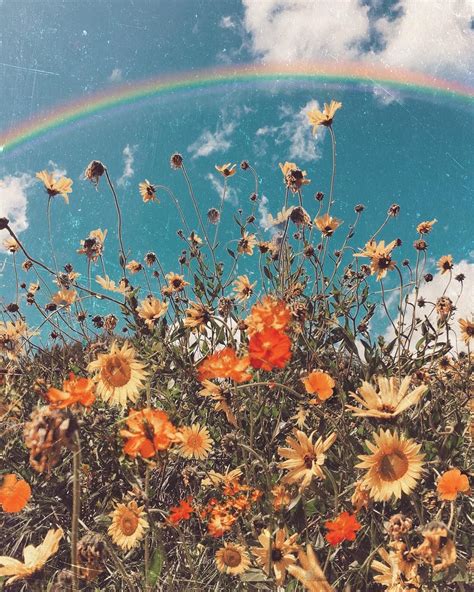 Sunflower on Twitter | Vsco wallpaper, Art, Aesthetic wallpapers