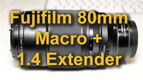 Fujifilm 80mm macro + 1 4 extender for macro photography - NewbieTo ...