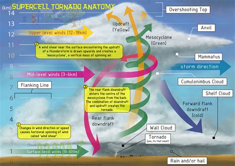 2014 Fact of the Week - Supercell Tornado Anatomy by aquadragontrs on ...