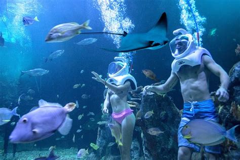 Interactive Aquarium (Cancun) - All You Need to Know Before You Go (with Photos) - TripAdvisor