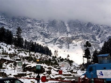 Paradise On Earth: Stunning Photos Of Fresh Snowfall In Kashmir