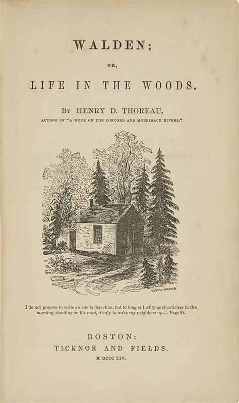 woodblock dreams: "Walden Warming" Book Cover