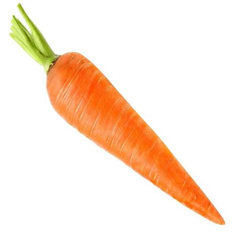 AllThatGrows Orange Carrot/Gaajar Gardening Seeds (Pack of 300 Pieces) : Amazon.in: Garden ...