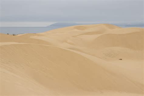 Pismo Beach Dunes: The Practical Guide for Trip Planning - Janessa and ...