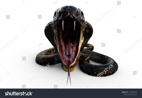 20,234 Snakes Attacking Images, Stock Photos & Vectors | Shutterstock