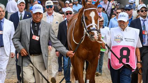 What’s that patch on winning Derby horse Mage’s nose? | Lexington Herald Leader