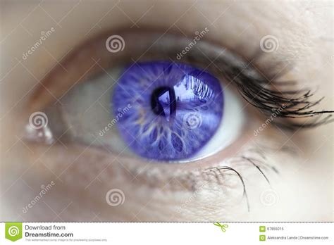 Violet eye color stock image. Image of blue, lenses, optical - 67855015