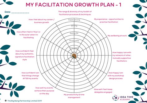 Facilitation Masterclass: Your Signature Style - The Big Bang Partnership