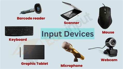 Input, output, processing, and storage devices of computer