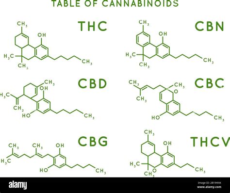 Cannabinoid structure. Cannabidiol molecular structures, THC and CBD formula. Marijuana or ...