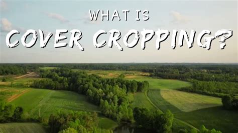 What is Cover Cropping? - YouTube