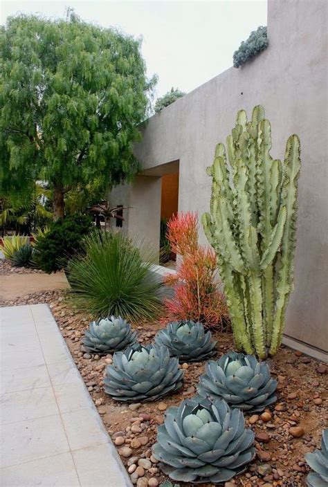 Atrévete con los cactus, 15 inspiradoras decoraciones para patios y ...